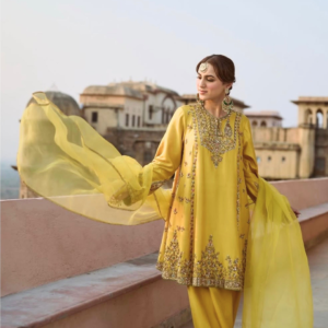 FARSHI SALWAR SUIT